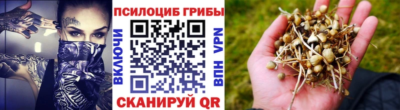 Псилоцибиновые грибы мицелий купить наркотик Подпорожье